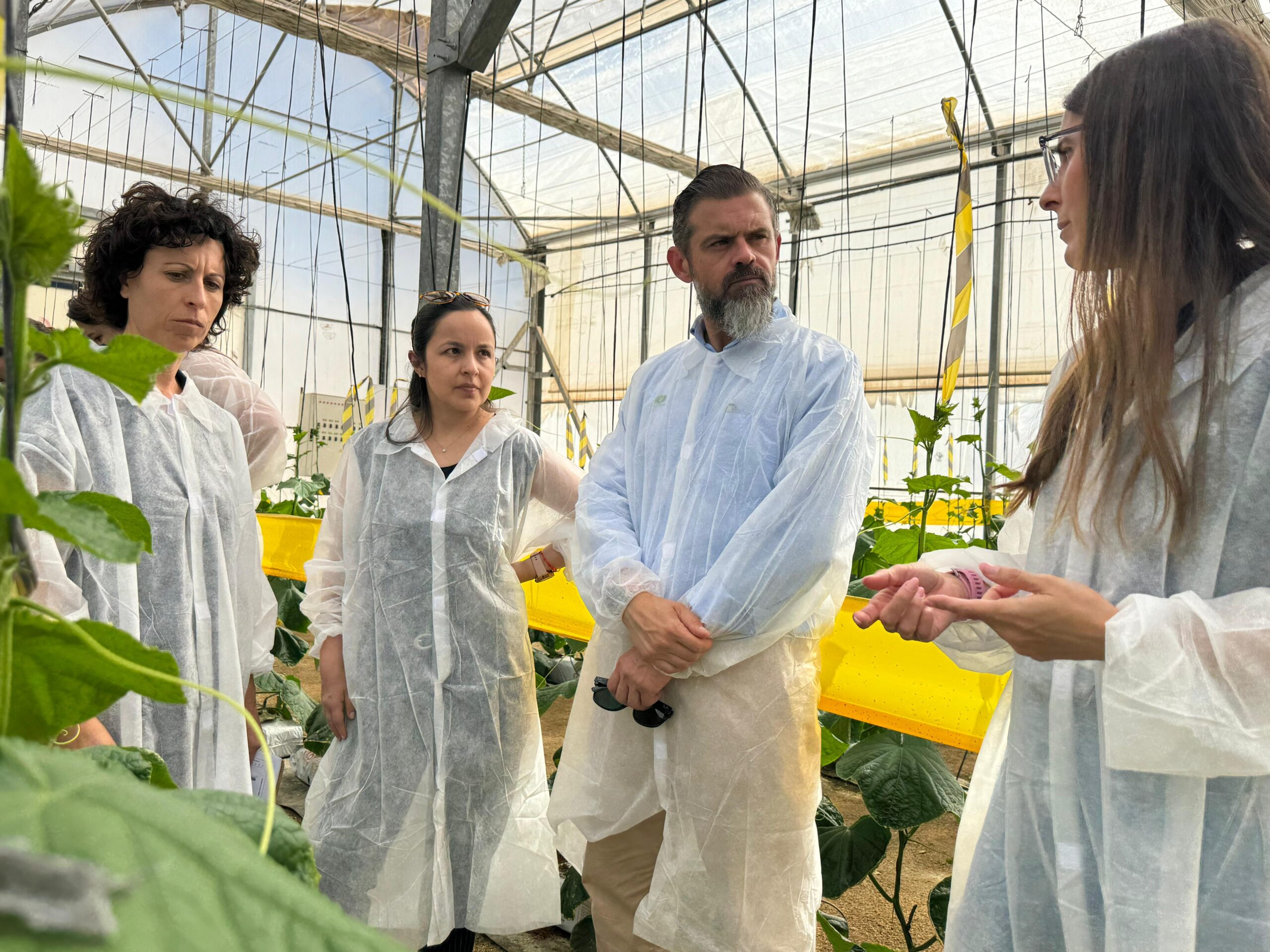 El proyecto MACROALGAE llega a su fase final con resultados positivos