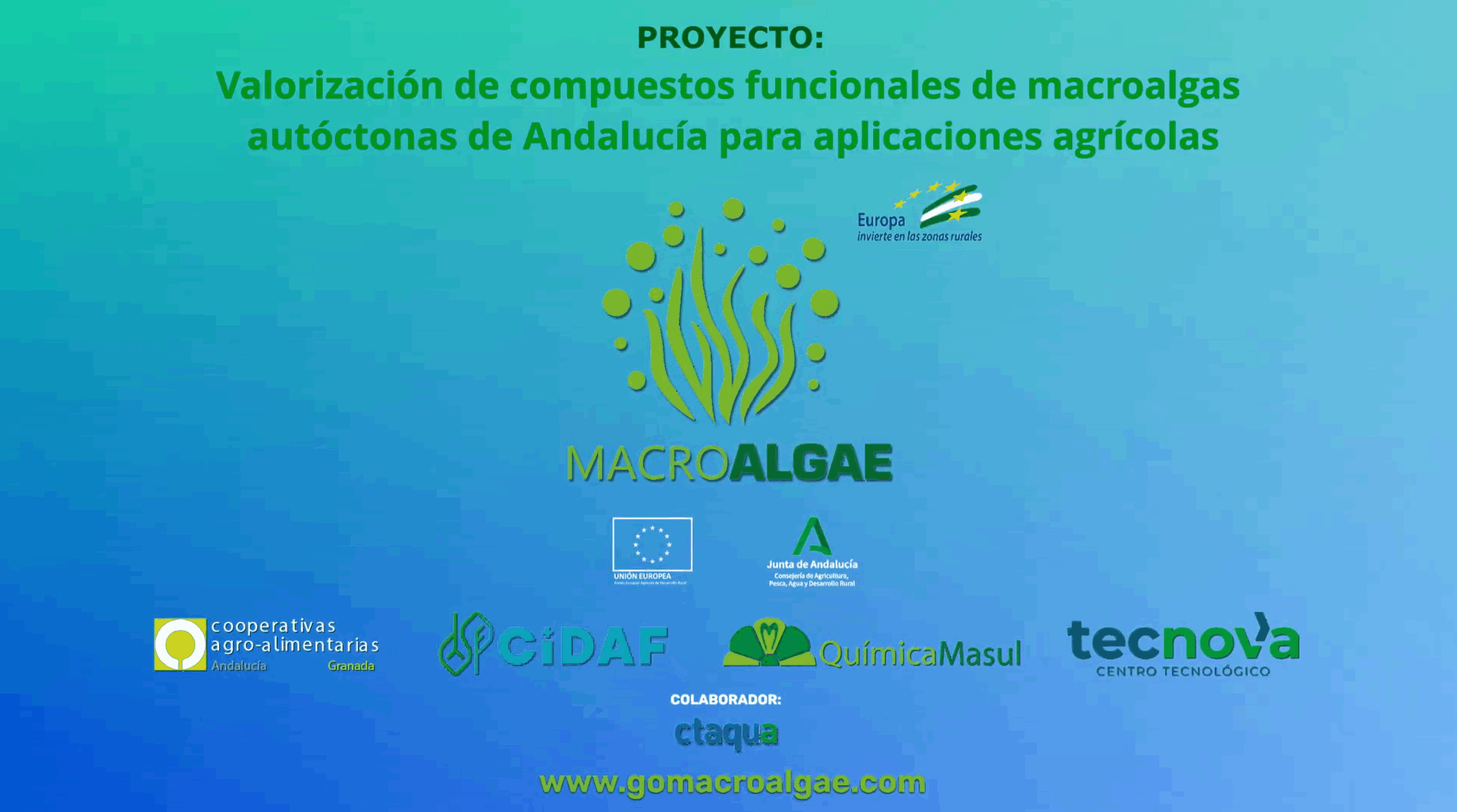 Vídeo final del Grupo Operativo MACROALGAE